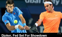fed vs djoker